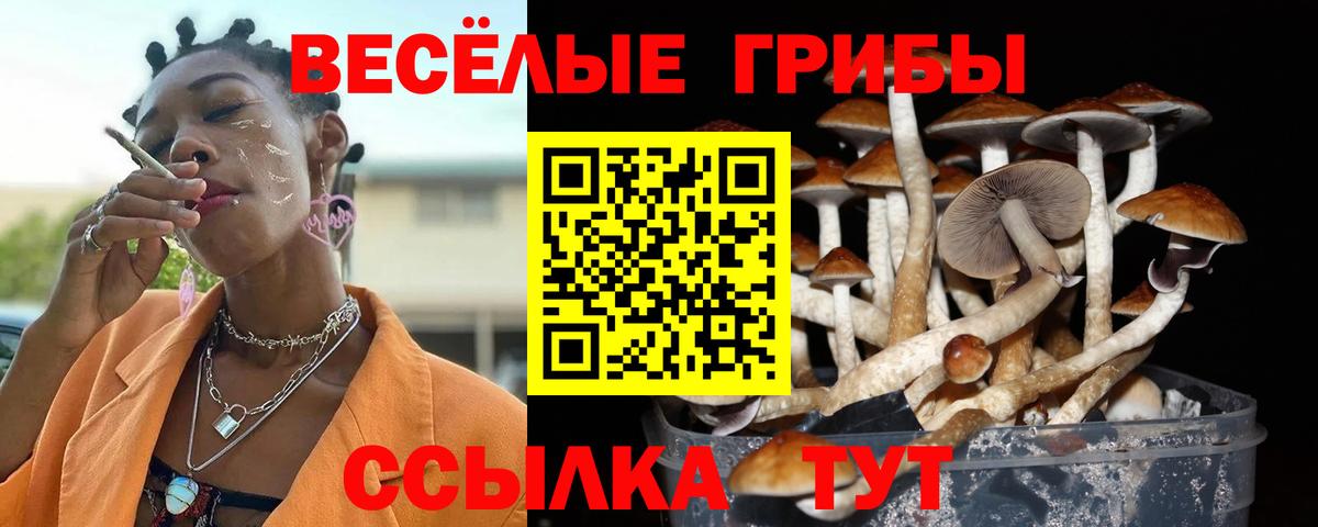 Полевской  Псилоцибиновые грибы Psilocybe  закладки  Вход с VPN 