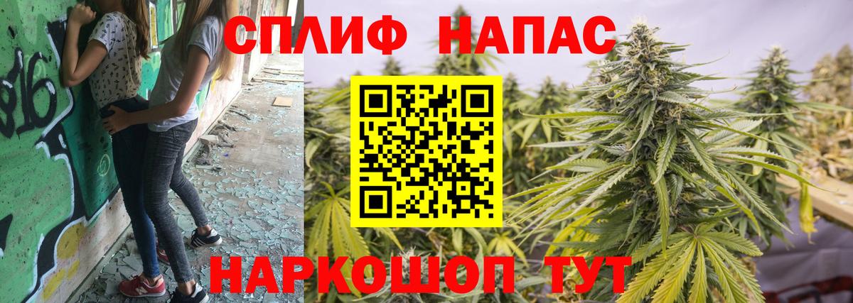 Канабис сатива Полевской